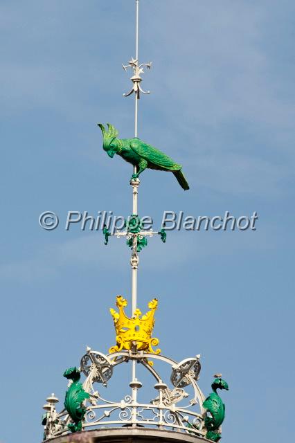 espagne valence 16.JPG - Girouette, la Cotorra del Mercat : la perruche du Marché central, Valence, Espagne